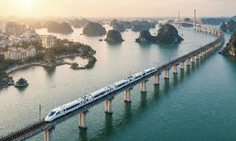 Không chỉ làm siêu đường sắt tốc độ 350km/h, tỷ phú Phạm Nhật Vượng còn cho xây 9 cầu vượt sông, 11 cầu cạn, dự kiến 2028 người Việt đi từ VEC tới Hạ Long chỉ mất 23 phút