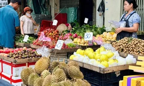 Sầu riêng 25.000 đồng/kg hút khách, loại cao cấp giá tới 1,8 triệu đồng