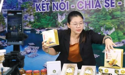 Sau giờ đóng chợ, tiểu thương Hạ Long livestream bán hàng tại 'khu vực đặc biệt'
