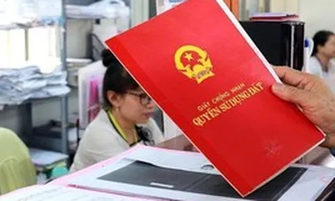Thửa đất hơn 3.199m² nhưng được chuyển nhượng chỉ 500 triệu, sau đó chủ mới mang đi thế chấp ngân hàng được 1,3 tỷ đồng