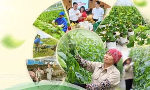 Hải Phòng: Từ chiếc điện thoại của người nông dân đến cánh đồng biết ‘nói’