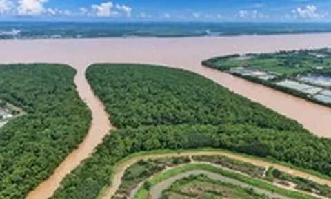 Miền Tây, vùng đất chín rồng nay còn 'mấy rồng'?