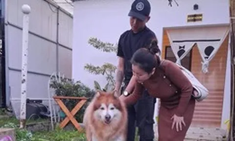 Con chó bị hành hạ ở Đà Lạt được 'giải cứu'