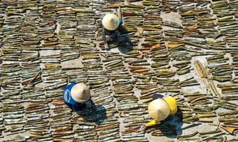 Việt Nam bán loại vỏ cây có vị ngọt, cay, thu gần 214 triệu USD sau 8 tháng