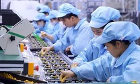 Người lao động tại công ty nghỉ Ngày Văn hóa Việt Nam, Tết Nguyên đán 2027 thế nào?
