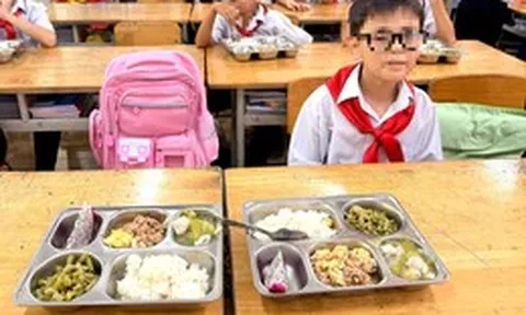 Khánh Hòa siết quản lý suất ăn bán trú, tăng kiểm tra đột xuất tại trường học