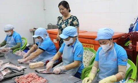 Từ mượn sổ đỏ vay nợ, người phụ nữ miền Tây dựng cơ sở cá thát lát thu 28 tỷ/năm