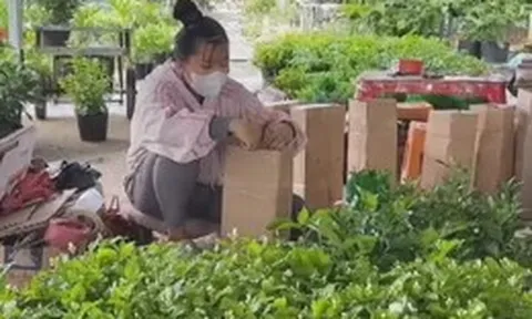 Cuộc thi Lan tỏa năng lượng tích cực 2026: Nông dân Sa Đéc xóa tư duy mùa vụ nhờ kinh tế số