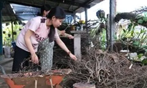 Nữ sinh mồ côi là HS giỏi hóa tỉnh, xin ĐH Cần Thơ hoãn đóng học phí vì chưa đủ tiền