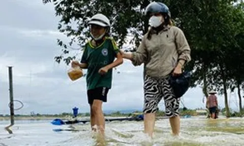 Đà Nẵng dời thiết bị cảnh báo ngập, cháy rừng đến vị trí mới