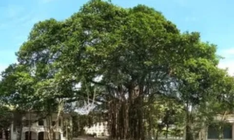 Báo Nhân Dân ra mắt không gian nghệ thuật cộng đồng với chương trình âm nhạc “Tán Đa”