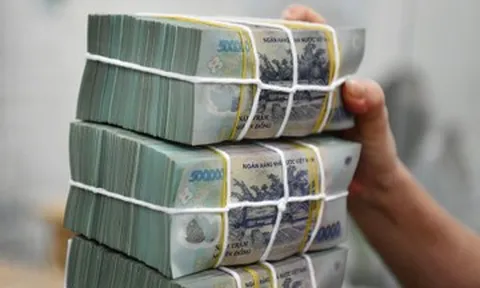 Trưởng phòng lương gần 30 triệu/tháng bị chấm dứt hợp đồng, đòi hơn 685 triệu