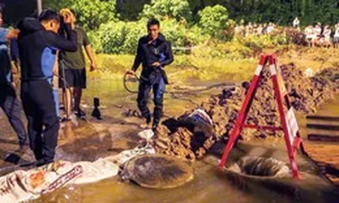Lãnh đạo Hà Nội yêu cầu công an điều tra hành vi trộm cắp, tiêu thụ nắp cống, nắp hố ga