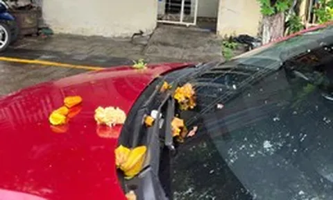 Tìm chỗ đậu xe ô tô trên đường phải nhìn nét mặt của chủ nhà, không có thái độ gì mới đậu vào?