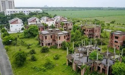 Nếu đánh thuế đất bỏ hoang nhà đầu tư phải tính cả kịch bản rút lui, không thể vì khó khăn mà tiếp tục giữ đất