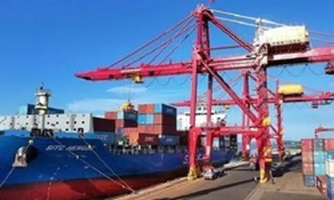 Pakistan săn chục nghìn tấn 'vàng xanh' của Việt Nam: thuế nhập khẩu 0%, Việt Nam là ông trùm đứng thứ 5 thế giới