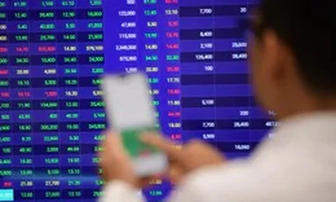 Chứng khoán EVS và T-Cap cùng bị phạt, lộ loạt vi phạm về báo cáo