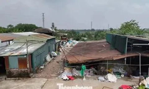 Hà Nội xử lý hàng trăm trường hợp vi phạm trên đất nông nghiệp