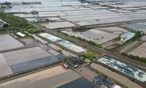 Kiến nghị chuyển hồ sơ sang công an vụ cho thuê đất công ở Cà Mau