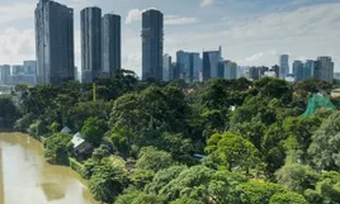 Nơi giá đất cả tỷ đồng mỗi m2, phường Sài Gòn có "khu rừng" được bảo tồn suốt hơn trăm năm, lọt top 8 thế giới, là mái nhà của nhiều động vật trong sách đỏ