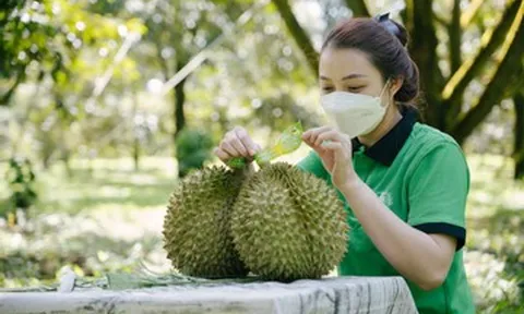Sầu riêng hút khách Trung Quốc, rau quả Việt 3 tháng liền vượt 1 tỷ USD