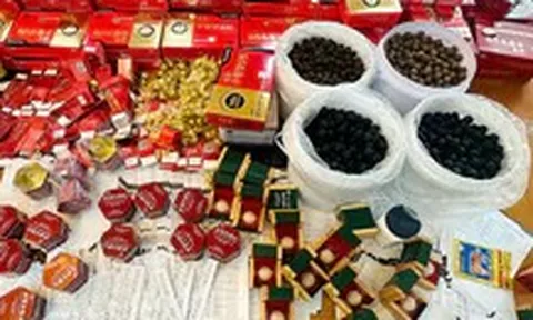 Công ty Nghệ sĩ Quyền Linh liên quan gì tới doanh nghiệp trong vụ sản xuất An Cung giả?
