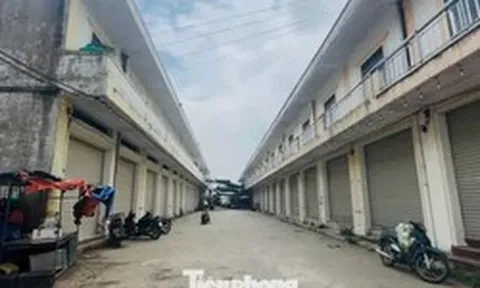 Chợ hơn 140 tỷ 'ế ẩm', loay hoay tìm tiểu thương sau 7 năm hoạt động
