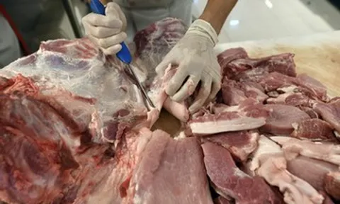 Giá xăng dầu tăng mạnh; thịt nhập khẩu chỉ hơn 26.000 đồng/kg