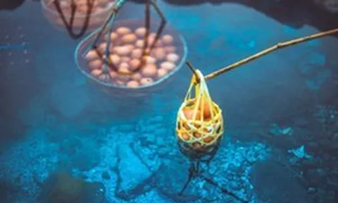 Việt Nam có suối nước nóng hơn 80°C giữa rừng nhiệt đới 280 ha, trứng thả xuống là chín: Công ty đứng sau liên quan Novaland, hơn 1.400 tỷ đang thế chấp ngân hàng