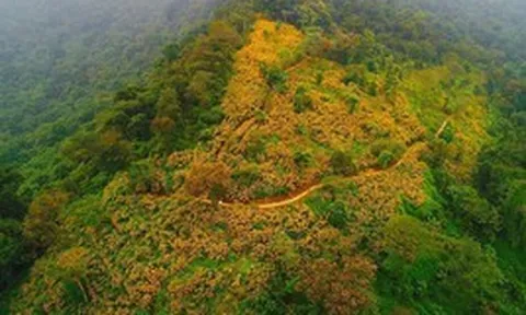 Một “kỳ quan” chưa từng có sắp xuất hiện ở Hà Nội: Rộng 580ha, được đầu tư 10.000 tỷ đồng