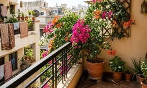 Ban công hướng Tây nắng như đổ lửa, trồng cây gì để vừa sống khỏe vừa đẹp?