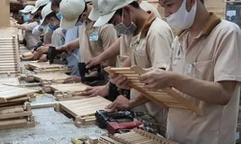 Dự thảo Nghị định quy định mức lương tối thiểu với hợp đồng lao động