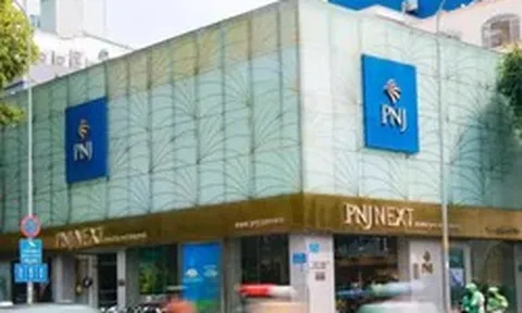 Bất ngờ việc PNJ trả tiền mua vàng, kim cương