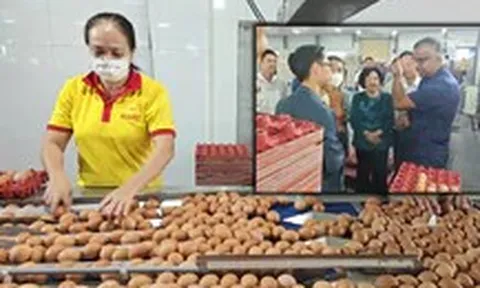 Công ty Ba Huân nợ hơn 600 tỉ đồng, bị xiết nợ hàng chục 'dãy chuồng gà'
