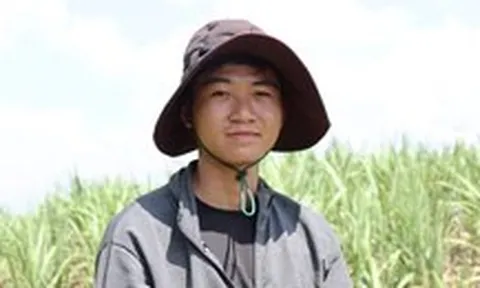 16 tuổi từ núi về TP.HCM làm mướn, học bổ túc đoạt giải hóa, 21 tuổi vay tiền vào đại học
