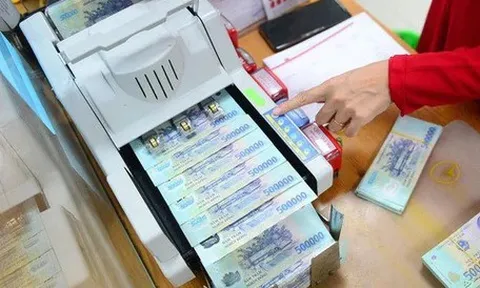 Nợ khó đòi, nhiều ngân hàng rao bán từ nhà đất, cây xăng, trường mầm non, chuồng gà...