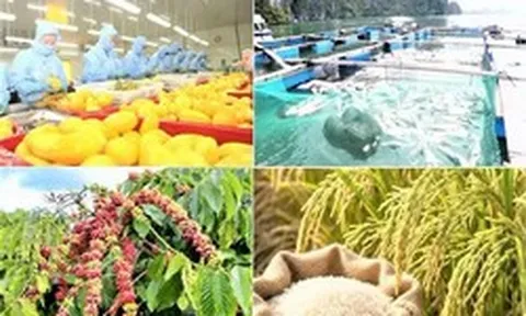Xuất khẩu nông, lâm, thủy sản 9 tháng tăng 7,8%