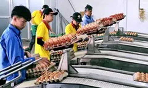 Ba Huân vướng nợ nần: Gia đình bà Ba Huân nói 'đã bán hết cổ phần, không liên quan các khoản nợ'