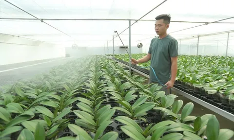 Thanh Hóa: Công nghệ vào ruộng, nông sản tìm đường ra thị trường