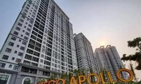 Hateco Apollo: Chủ đầu tư nói gì về việc bàn giao quỹ bảo trì?