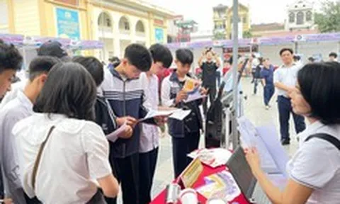 Vì sao tỷ lệ thất nghiệp trong thanh niên ở mức cao?