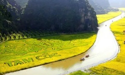 Ninh Bình tăng trưởng 11,31%, quyết tâm giữ nhịp 'hai con số' cả năm