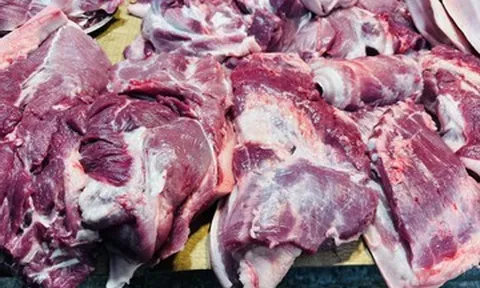 Gần 659.000 tấn thịt giá rẻ tràn về, lợn hơi trong nước giảm giá sâu