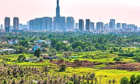 Đại biểu Quốc hội đồng tình đánh thuế đất bỏ hoang 0,2% nhưng đề nghị quy định rõ tiêu chí