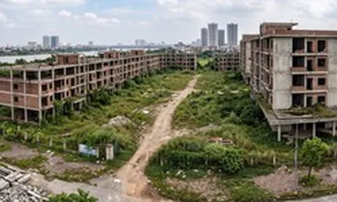 Đánh thuế đất bỏ hoang và bài toán đặt ra