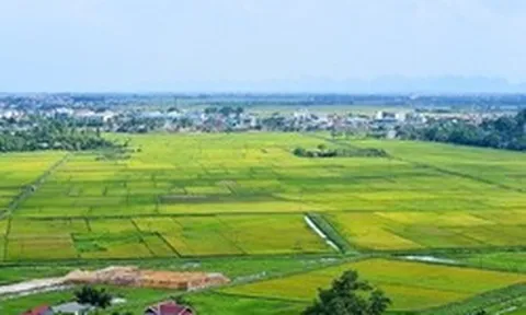 Được bố tặng nhà trên đất ao, con có được giảm 65% tiền sử dụng đất khi làm sổ đỏ?