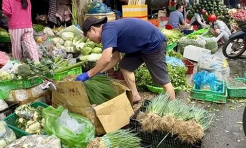 Giá rau củ tăng mạnh, một loại rau gia vị đắt ngang 1kg thịt heo