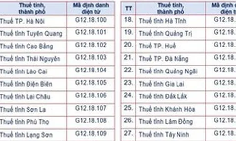 Cơ quan thuế các cấp dùng mã định danh điện tử mới từ tháng 10/2026