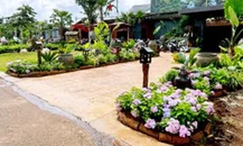 Người dân có được tự ý trồng cây xanh vỉa hè trước nhà, hàng quán?