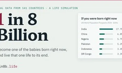 "8 tỷ người, 1 số phận": Trang web lập trình trong 4 tiếng bằng AI đang làm rúng động mạng xã hội châu Á